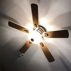 Meet your Posher, Lucas